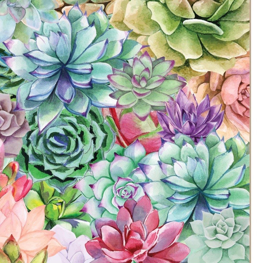 Succulents Paradise 1 White Framed Print Wall Art HomeRoots