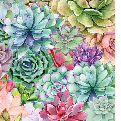 Succulents Paradise 1 White Framed Print Wall Art HomeRoots