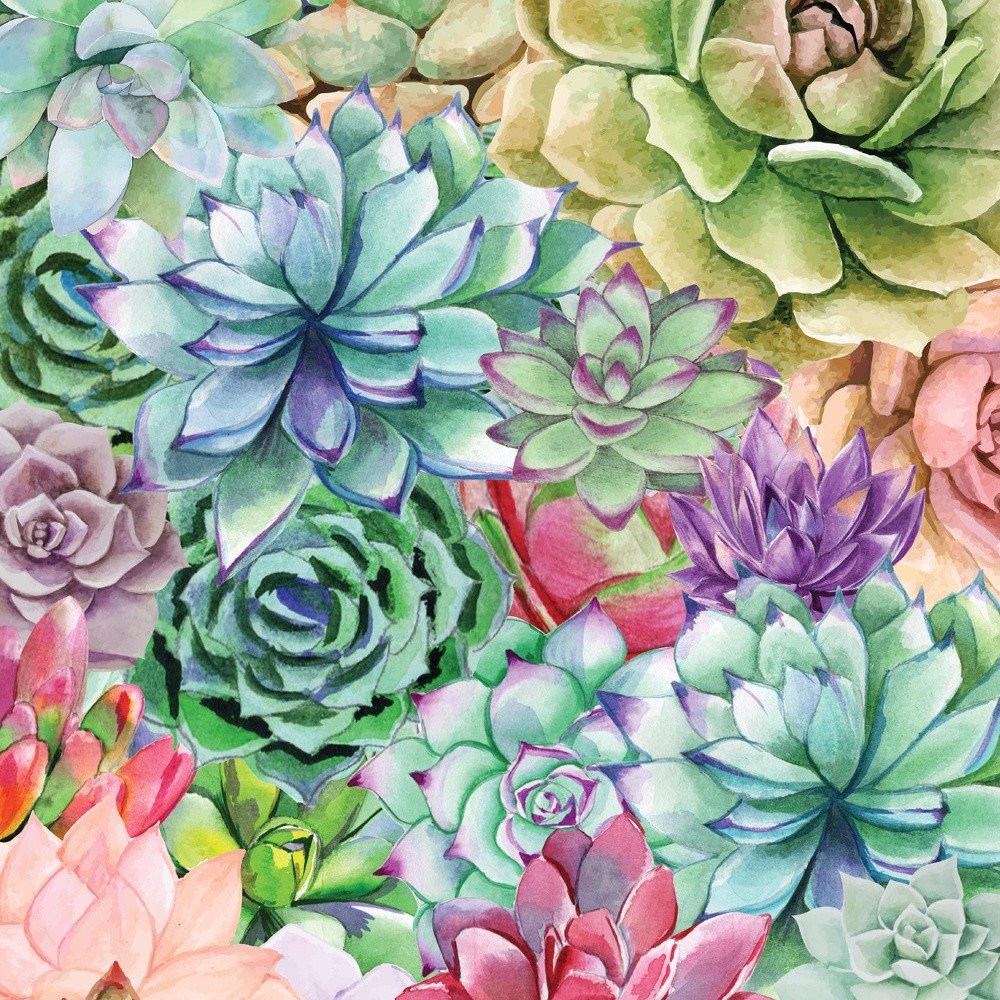 Succulents Paradise 2 White Framed Print Wall Art — view 3