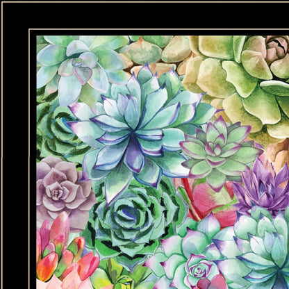 Succulents Paradise 2 White Framed Print Wall Art HomeRoots