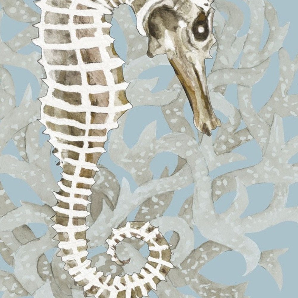 Set Of Two Coral Seahorse 1 Black Framed Print Wall Art HomeRoots