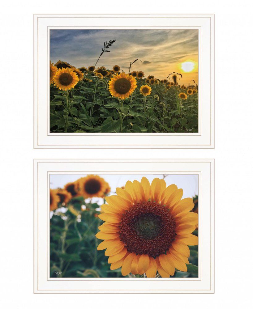 Set Of Two Midwest Living 1 White Framed Print Wall Art HomeRoots