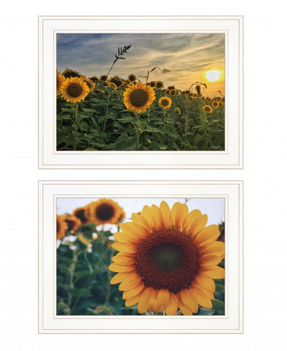 Set Of Two Midwest Living 1 White Framed Print Wall Art HomeRoots