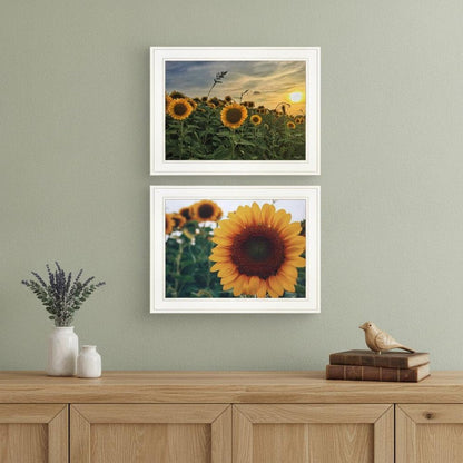 Set Of Two Midwest Living 1 White Framed Print Wall Art HomeRoots