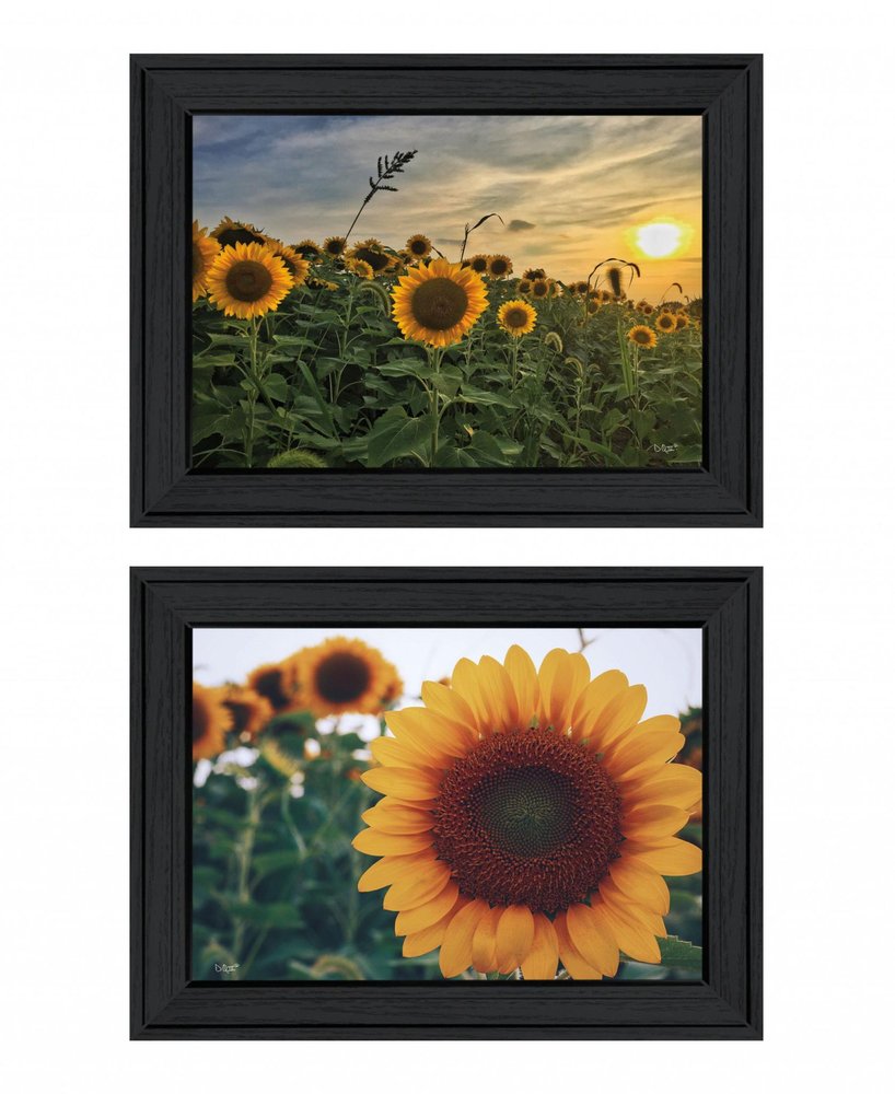 Set Of Two Midwest Living 2 Black Framed Print Wall Art HomeRoots