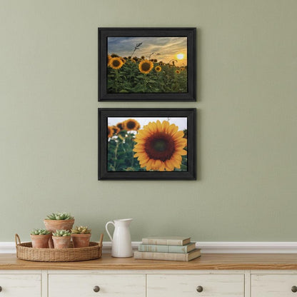 Set Of Two Midwest Living 2 Black Framed Print Wall Art HomeRoots