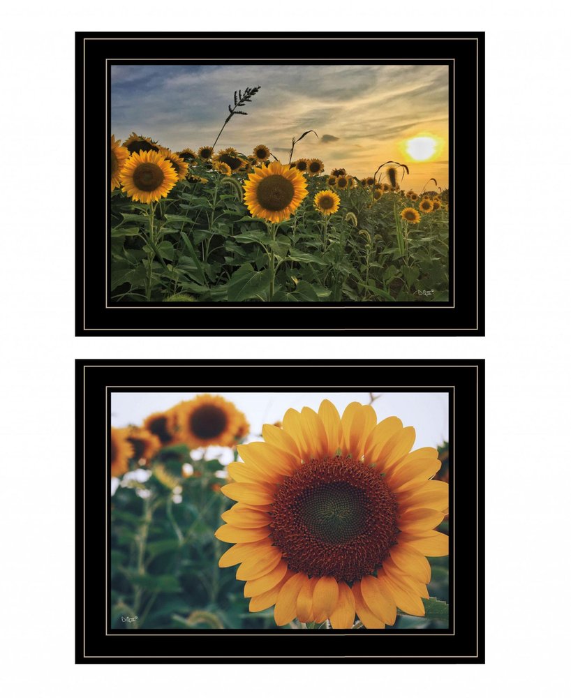 Set Of Two Midwest Living 1 White Framed Print Wall Art — view 5