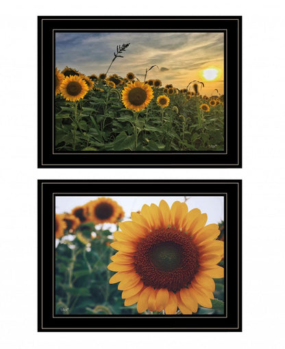 Set Of Two Midwest Living 1 White Framed Print Wall Art HomeRoots