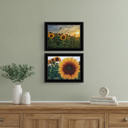 Set Of Two Midwest Living 1 White Framed Print Wall Art HomeRoots
