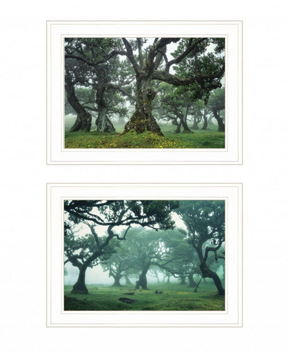 Set Of Two Enchanted Forest 1 White Framed Print Wall Art HomeRoots