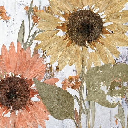 Set Of Two Earth to Petals 2 White Framed Print Wall Art HomeRoots