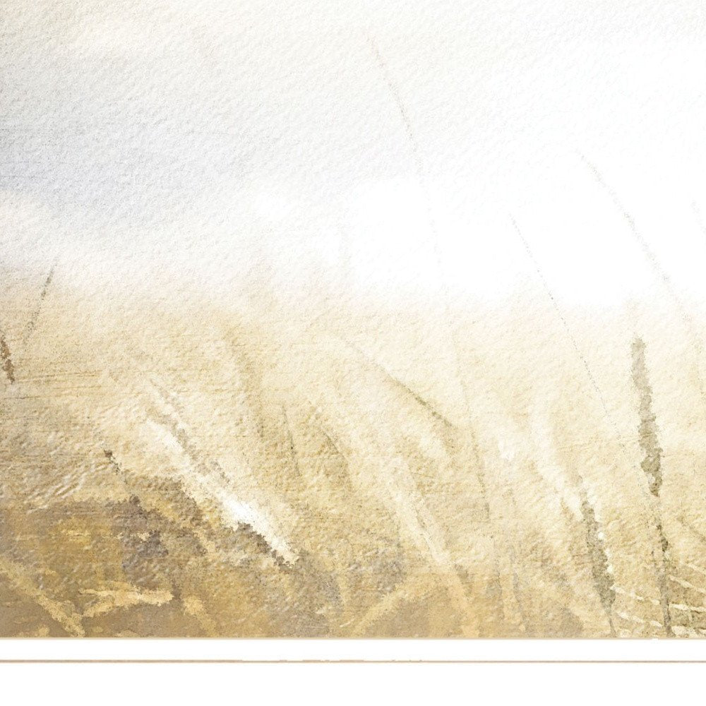 Fields of Gold 1 White Framed Print Wall Art HomeRoots