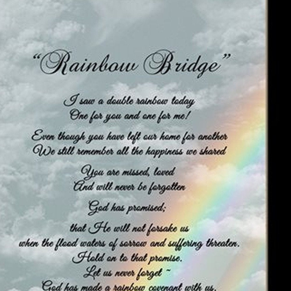 Rainbow Bridge Black Framed Print Wall Art HomeRoots