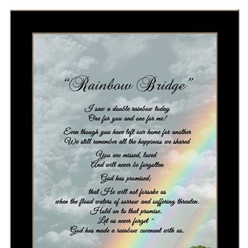 Rainbow Bridge Black Framed Print Wall Art HomeRoots