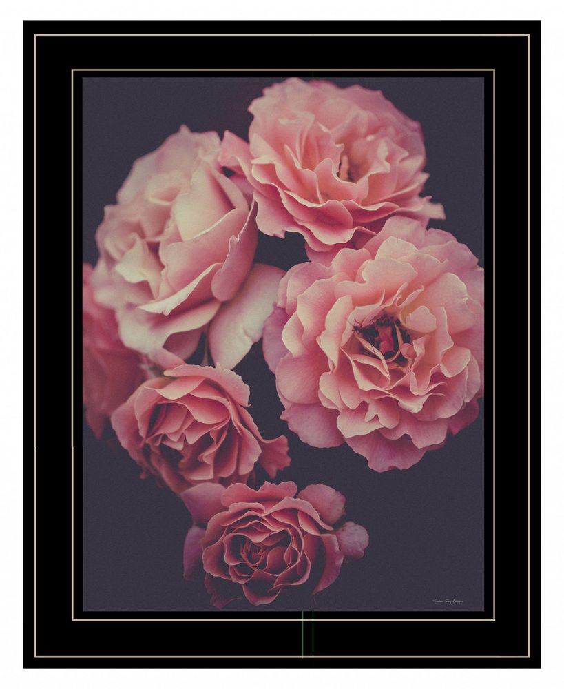 Dreamy Rose 2 Black Framed Print Wall Art HomeRoots
