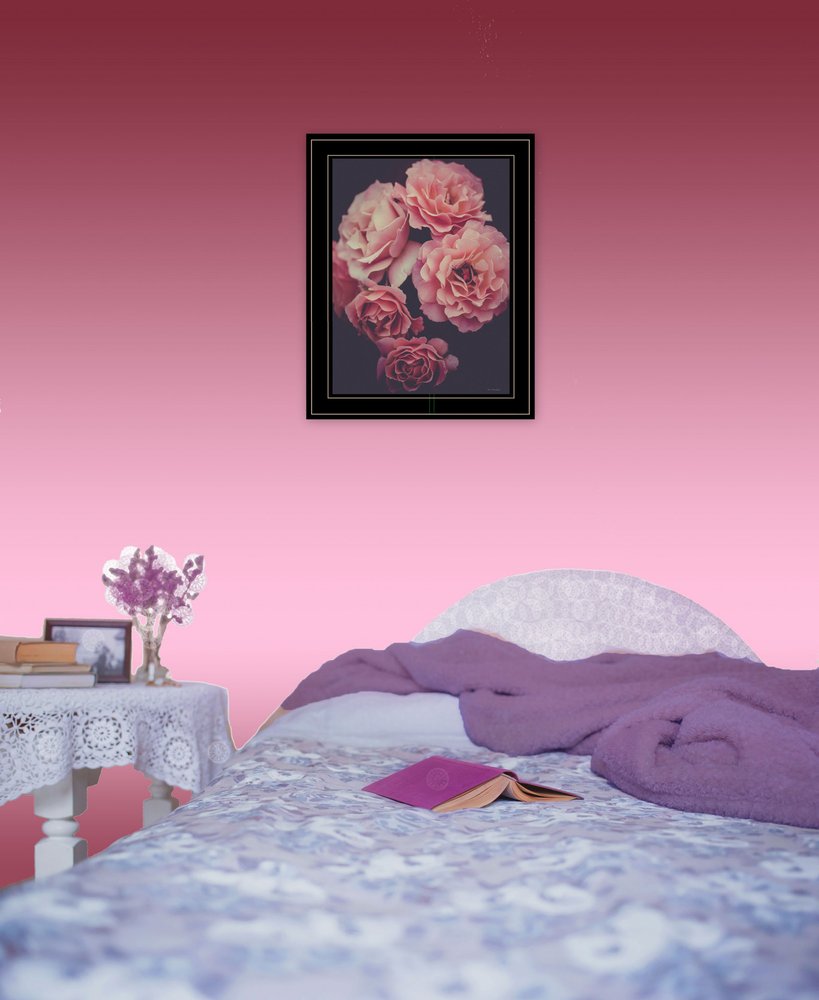 Dreamy Rose 2 Black Framed Print Wall Art HomeRoots