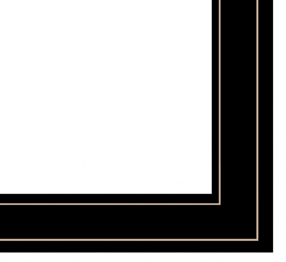 Dreamy Rose 2 Black Framed Print Wall Art HomeRoots