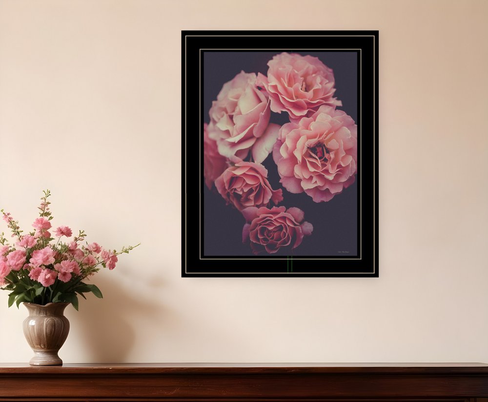 Dreamy Rose 2 Black Framed Print Wall Art HomeRoots