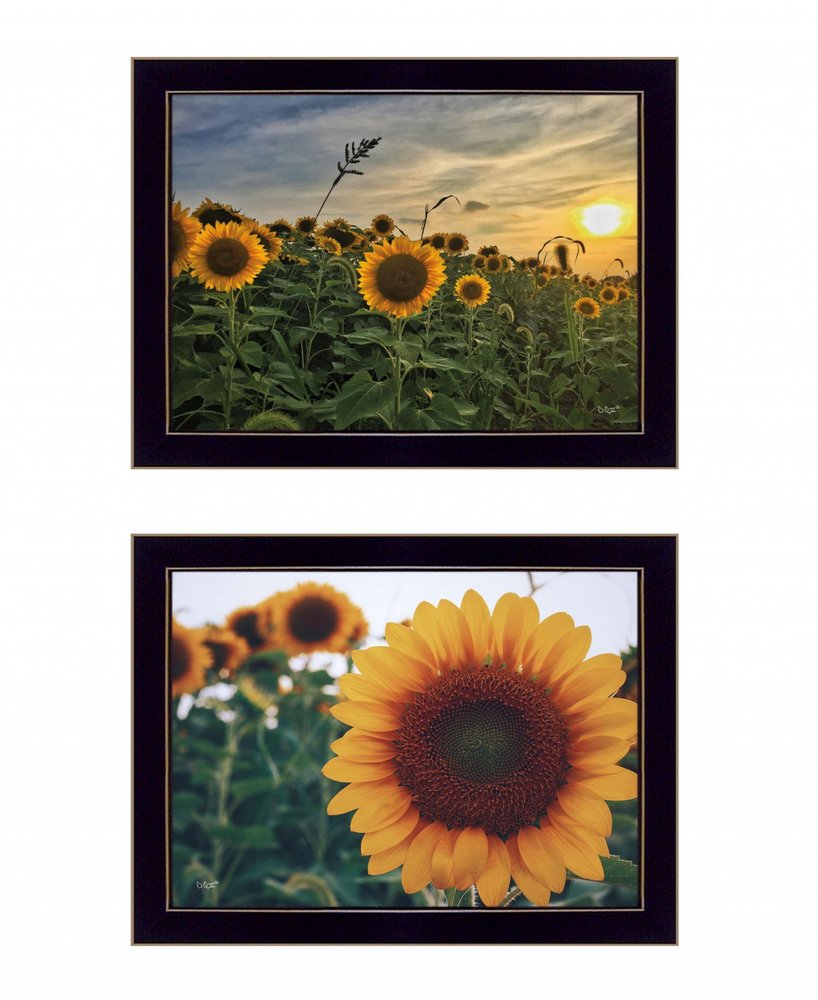 Set Of Two Midwest Living 4 Black Framed Print Wall Art — view 1