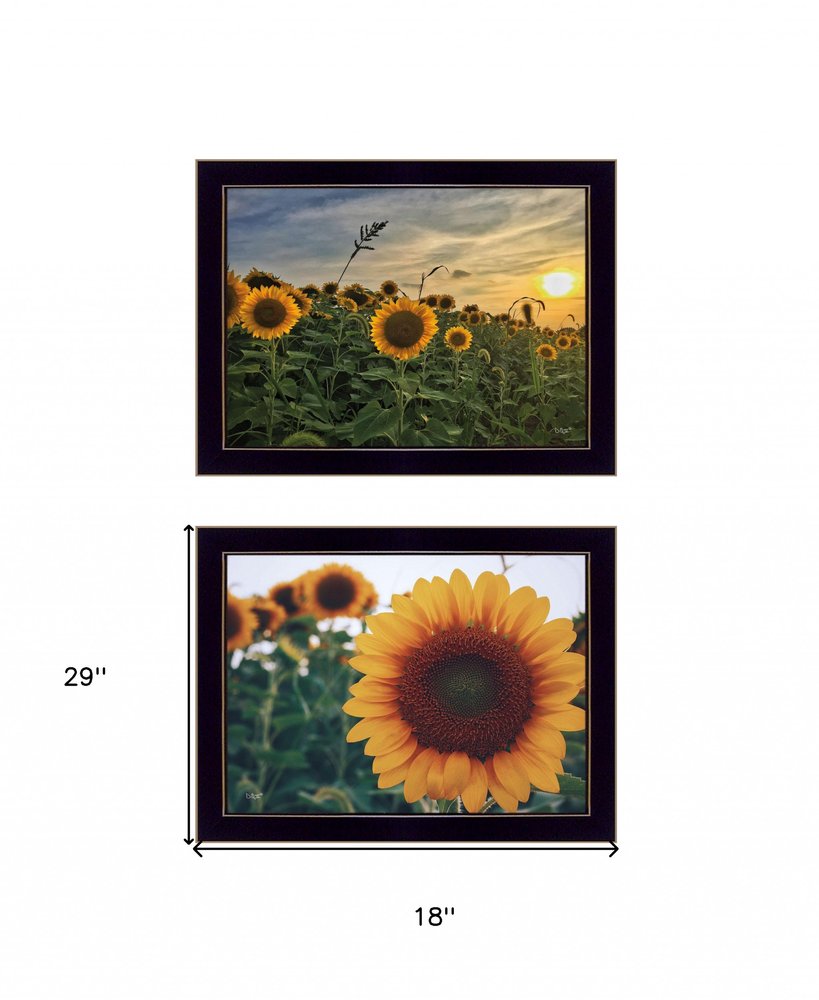 Set Of Two Midwest Living 4 Black Framed Print Wall Art — view 3
