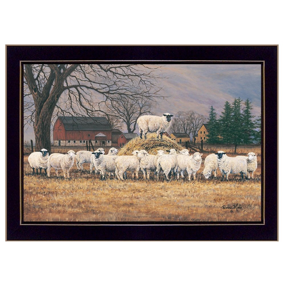 Wool Gathering 1 Black Framed Print Wall Art — view 1