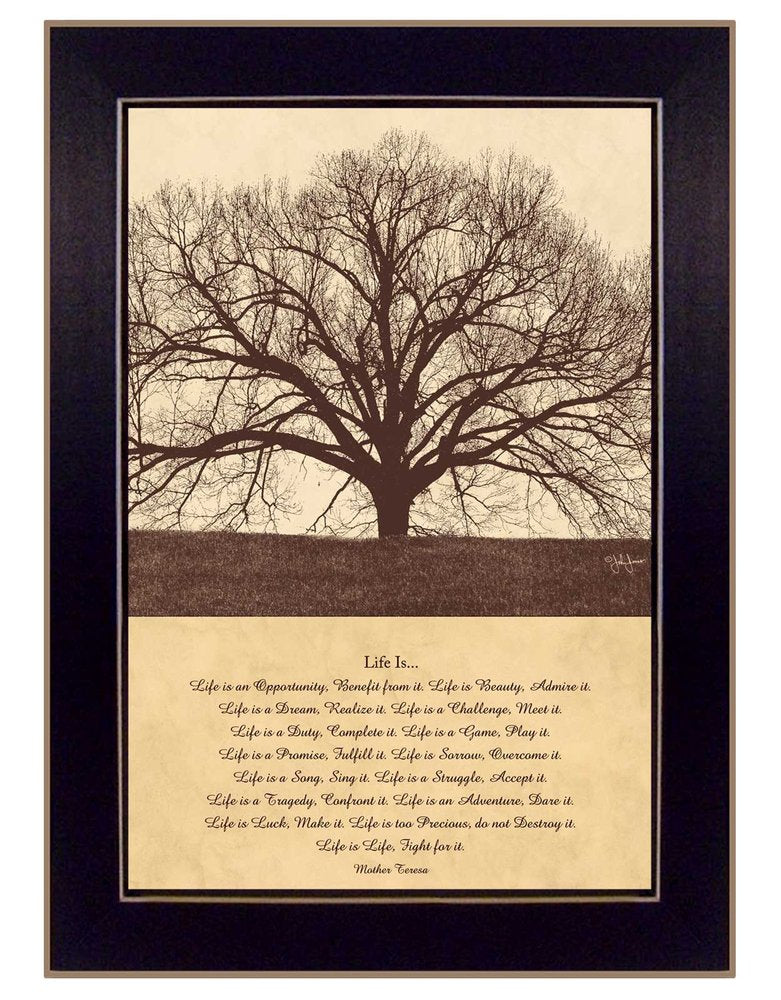Life Is 1 Black Framed Print Wall Art — view 1