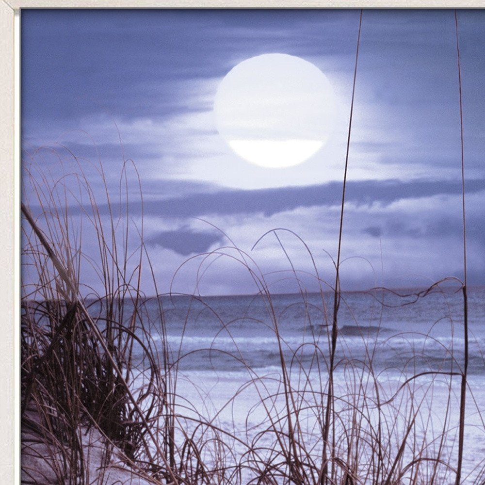 The Seashore White Framed Print Wall Art — view 4