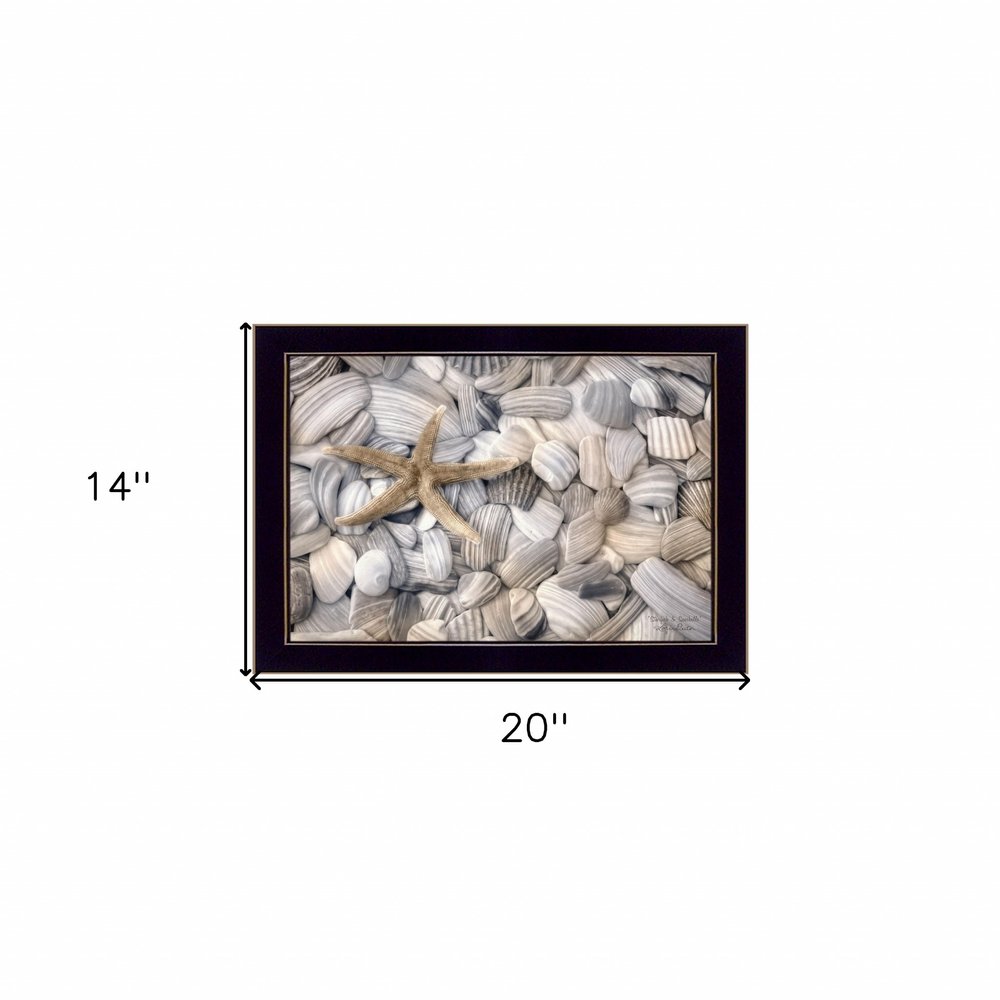 Starfish and Seashell 1 Black Framed Print Wall Art — view 3