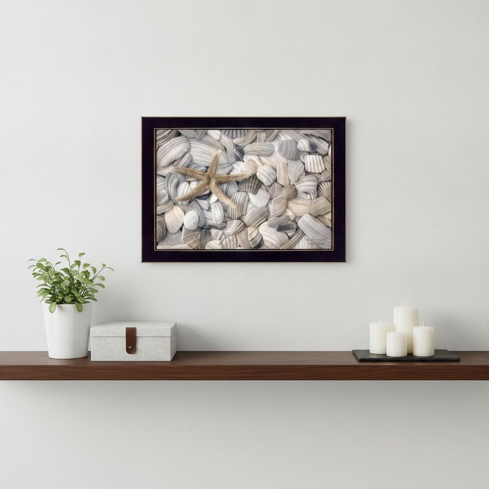 Starfish and Seashell 1 Black Framed Print Wall Art — view 4