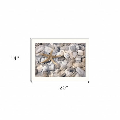Starfish and Seashell 2 White Framed Print Wall Art