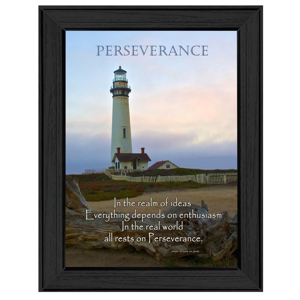 Perseverance 1 Black Framed Print Wall Art HomeRoots