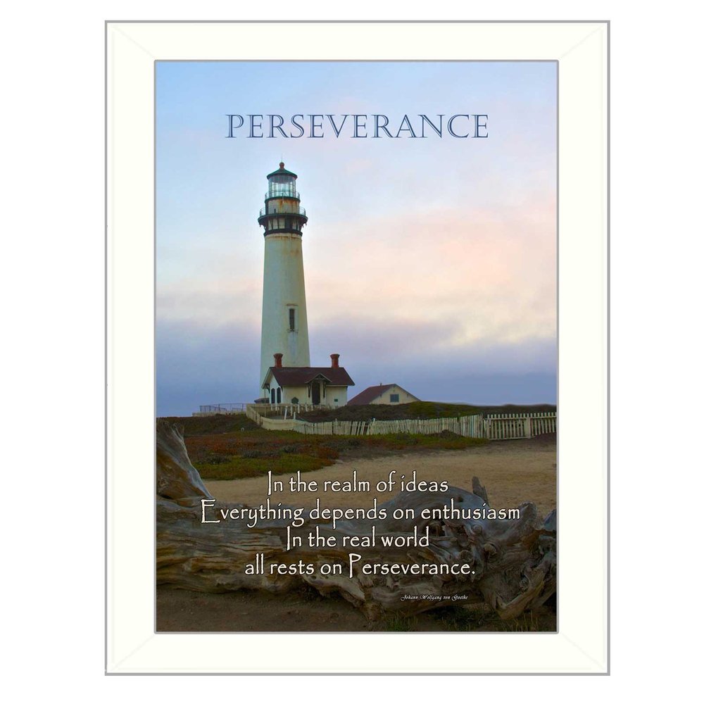 Perseverance 2 White Framed Print Wall Art HomeRoots