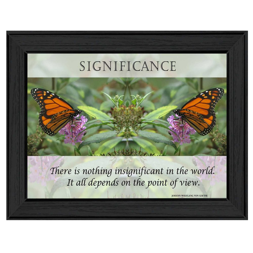 Significance 1 Black Framed Print Wall Art — view 1