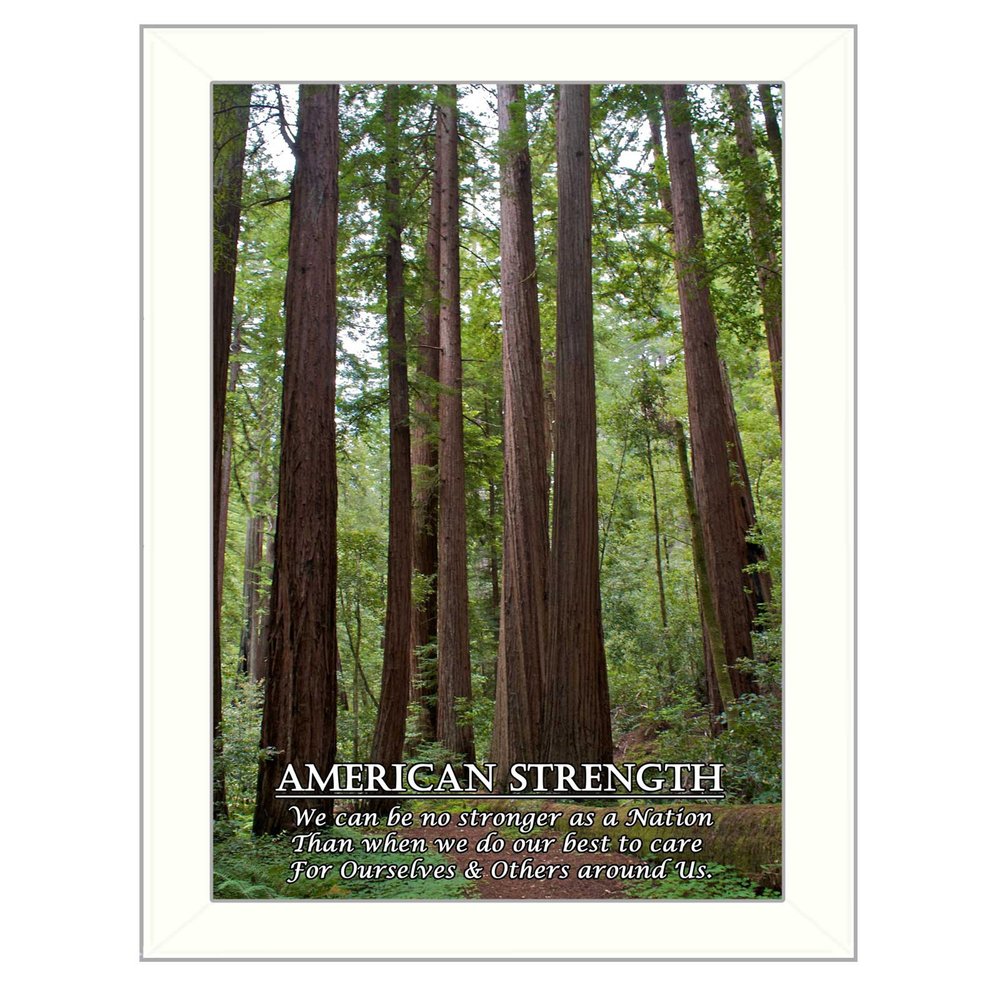 American Strength 2 White Framed Print Wall Art HomeRoots