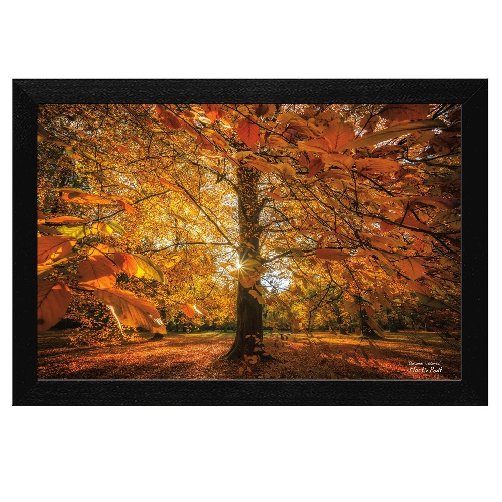 Autumn Leaves 4 Black Framed Print Wall Art HomeRoots