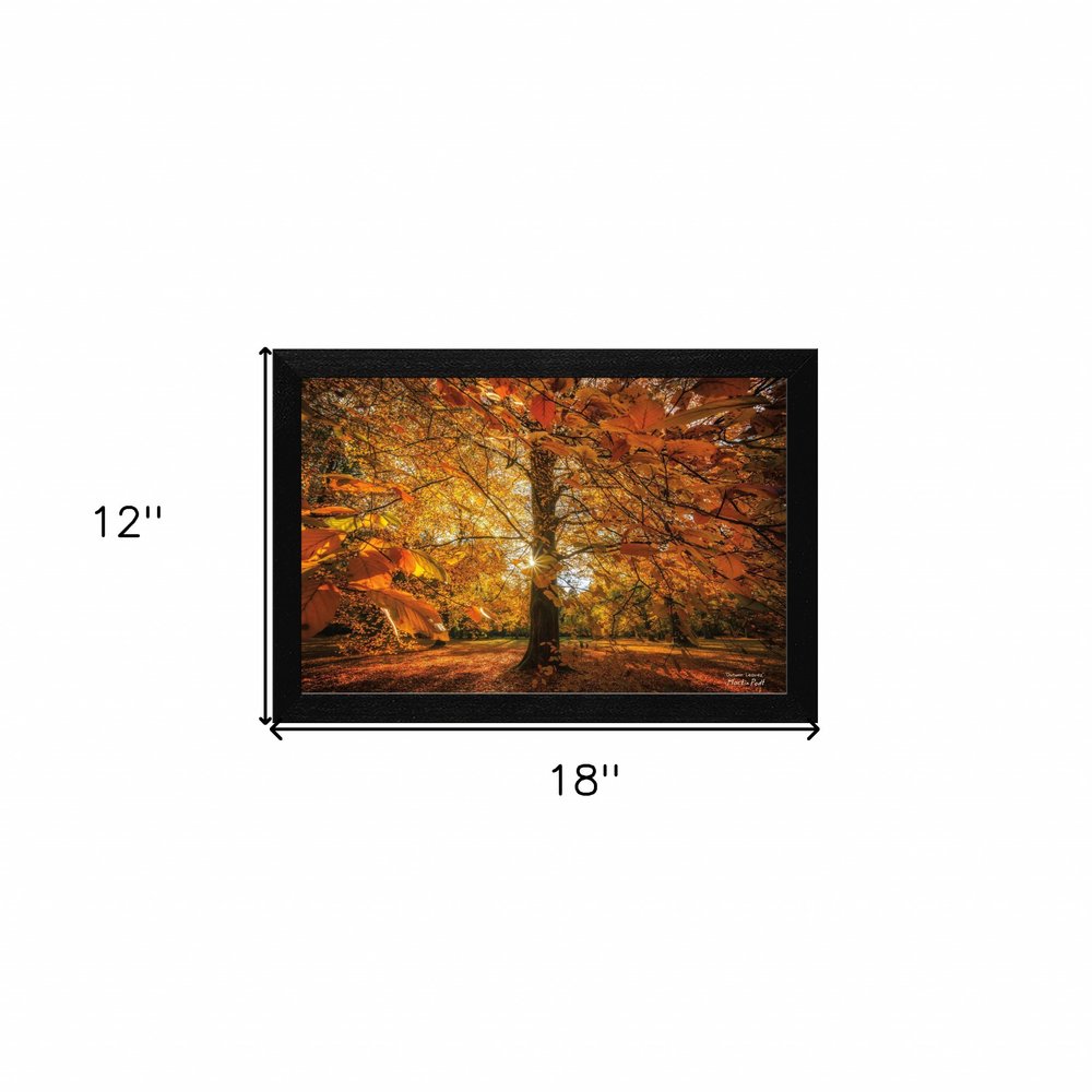 Autumn Leaves 4 Black Framed Print Wall Art — view 4