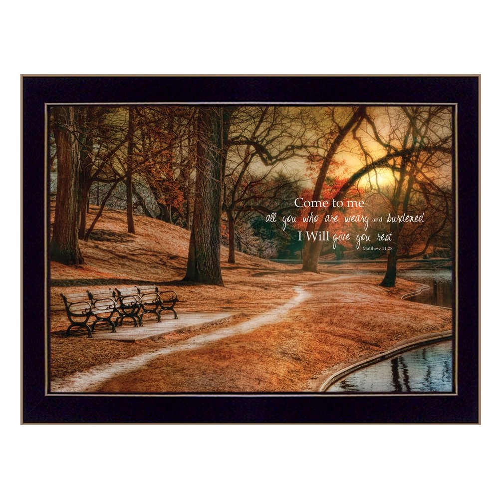 I Will Give You Rest 2 Black Framed Print Wall Art HomeRoots