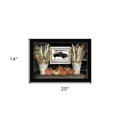 Pumpkin Patch Still Life 1 Black Framed Print Wall Art HomeRoots
