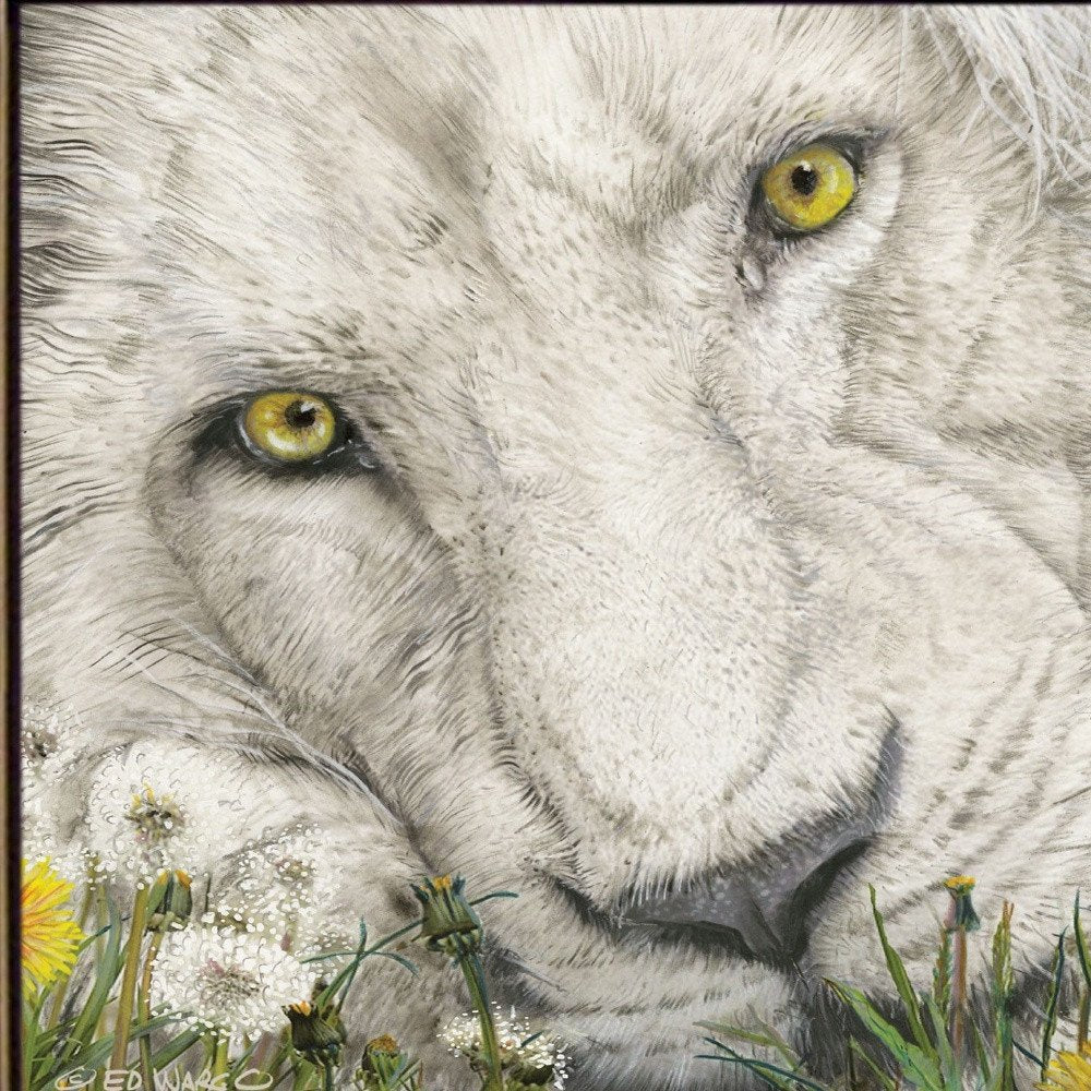 Dandy Lion 1 Black Framed Print Wall Art — view 3