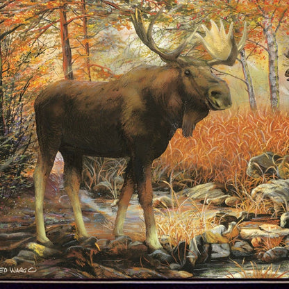 Call of the Wild 1 Black Framed Print Wall Art HomeRoots