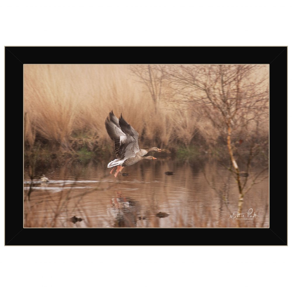 Fly Away 3 Black Framed Print Wall Art — view 1