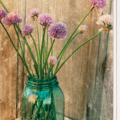 Country Chives 1 White Framed Print Wall Art HomeRoots