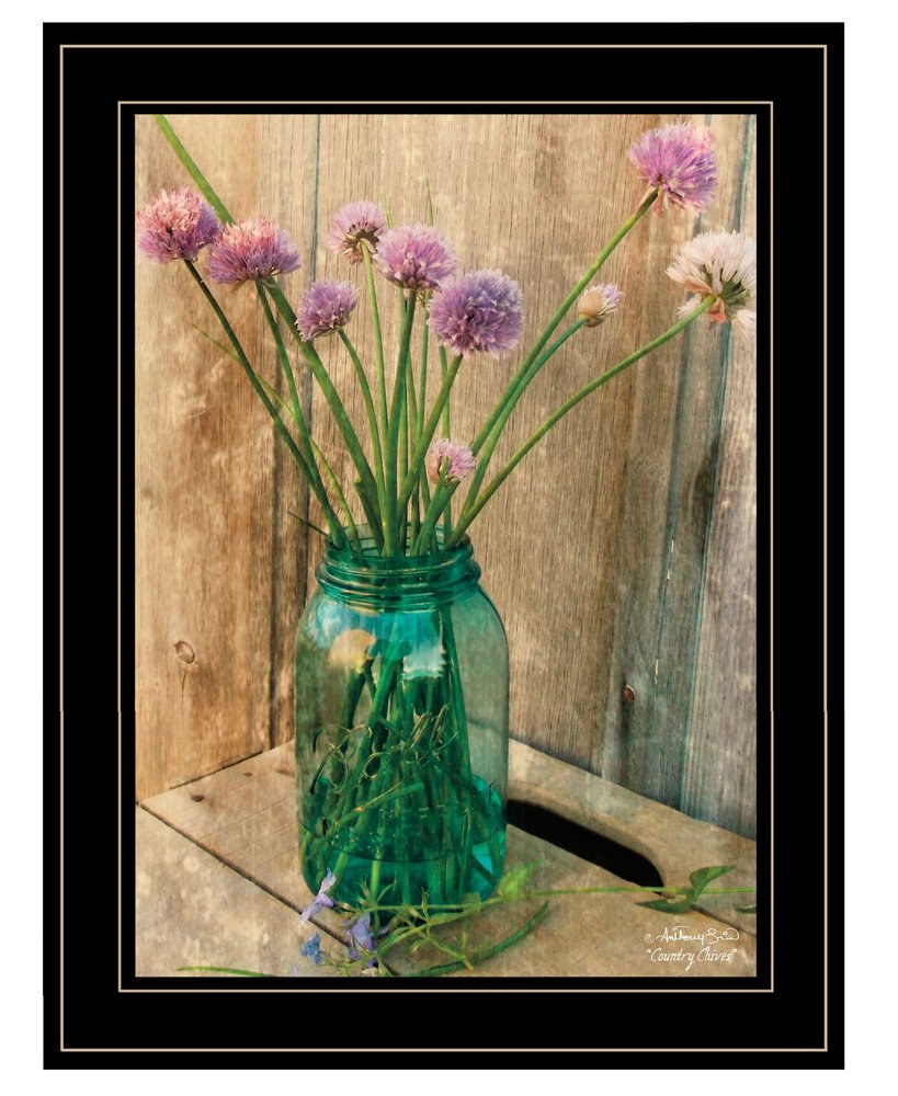 Country Chives 2 Black Framed Print Wall Art HomeRoots