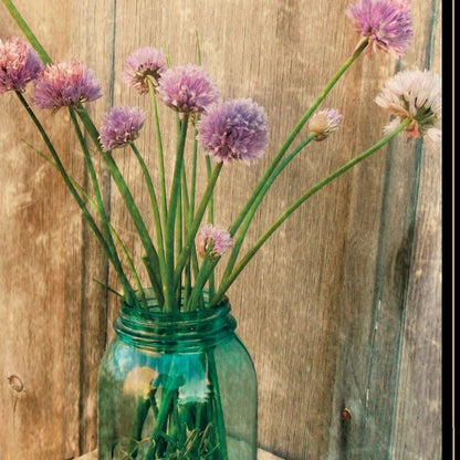 Country Chives 2 Black Framed Print Wall Art HomeRoots