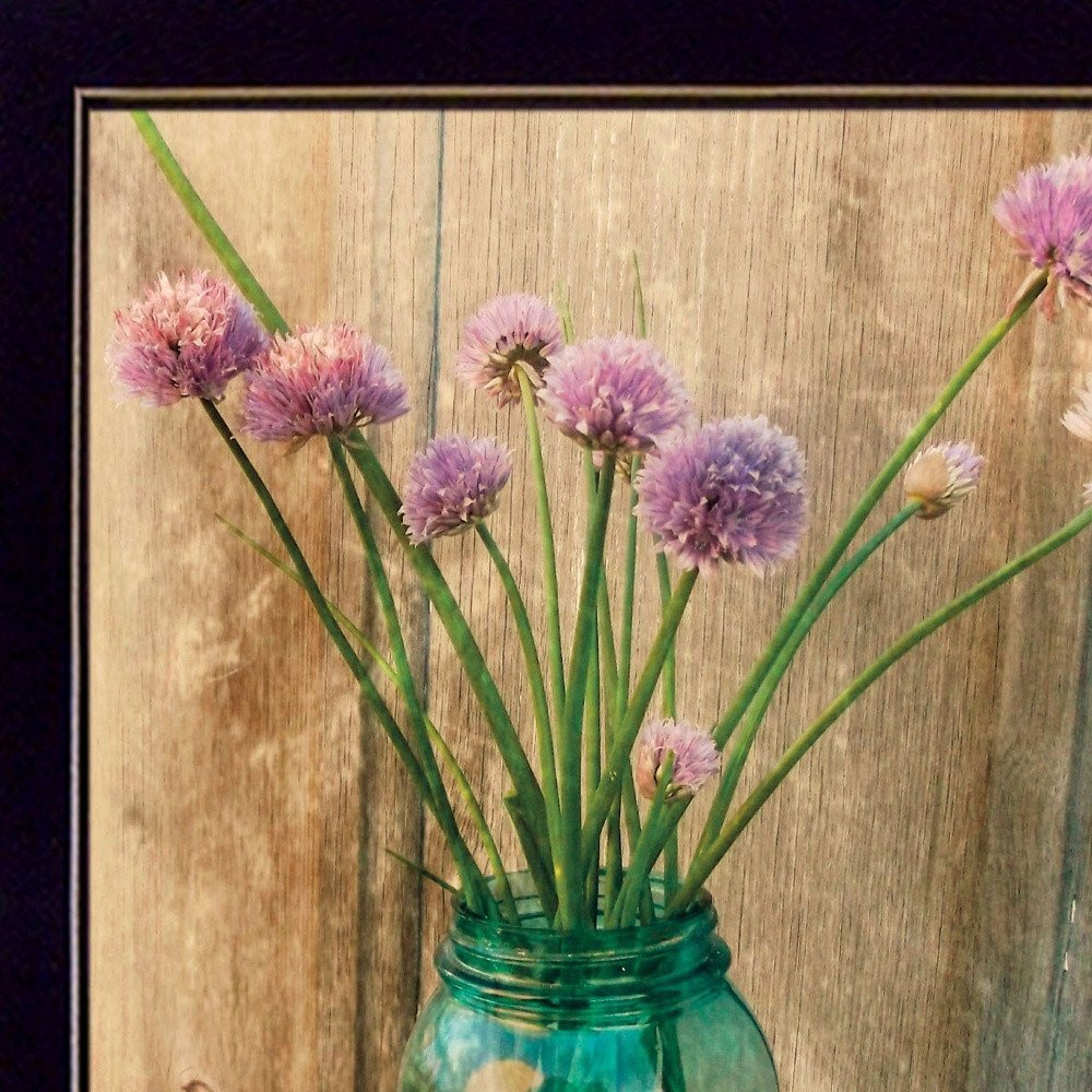 Country Chives 3 Black Framed Print Wall Art HomeRoots