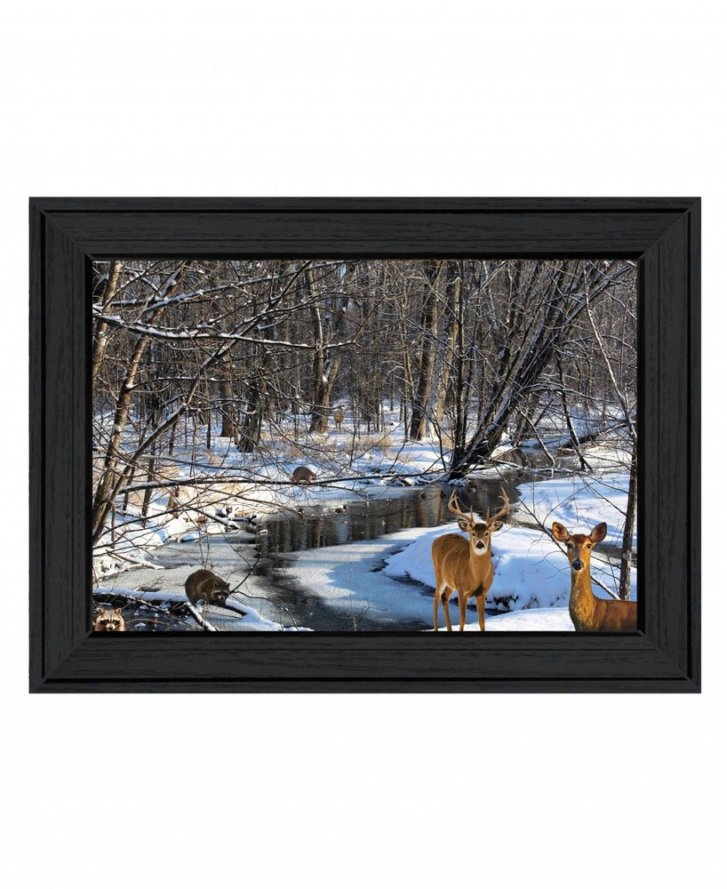 Great Outdoors Nature 1 Black Framed Print Wall Art HomeRoots