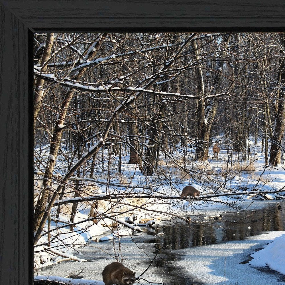 Great Outdoors Nature 1 Black Framed Print Wall Art — view 2