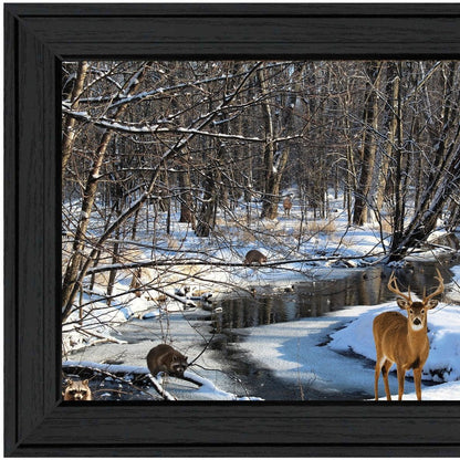 Great Outdoors Nature 1 Black Framed Print Wall Art HomeRoots