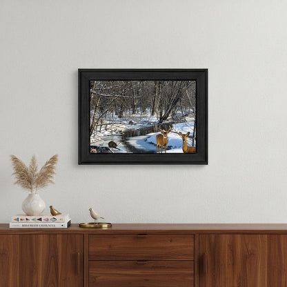 Great Outdoors Nature 1 Black Framed Print Wall Art HomeRoots