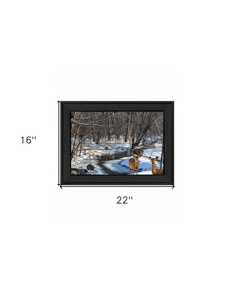 Great Outdoors Nature 1 Black Framed Print Wall Art — view 4
